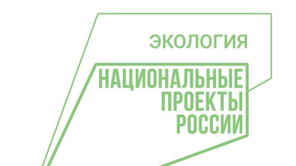 В рамках нацпроекта «Экология» в Чечне заготовят 1000 кг семян основных лесообразующих пород
