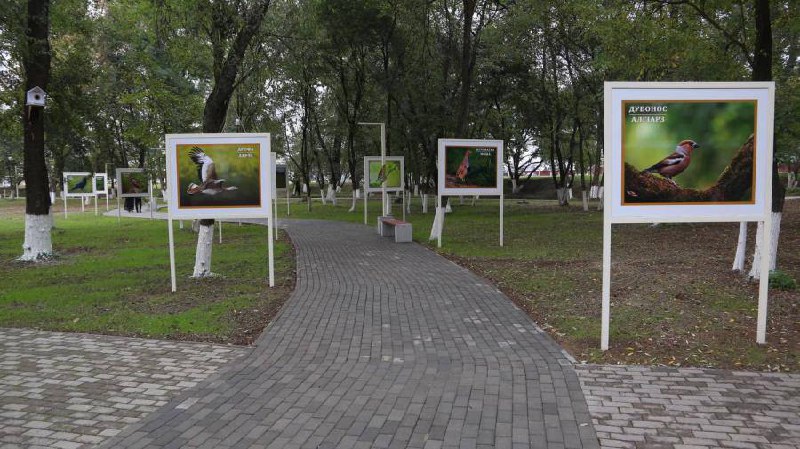 В Курчалоевском районе завершено благоустройство общественной территории