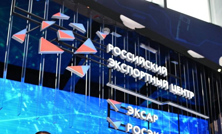 РЭЦ составил рейтинг регионов по реализации нацпроекта по экспорту