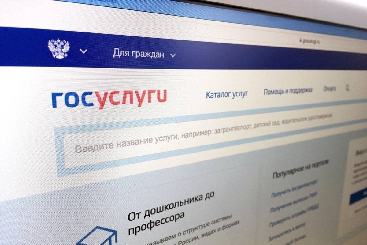На Госуслугах стартовало голосование за «Культурную столицу 2026 года»