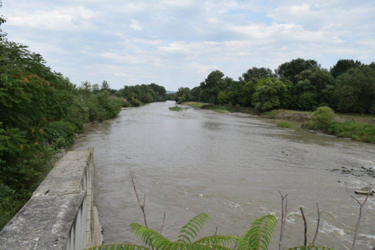 Сунженское водохранилище очистят к концу 2024