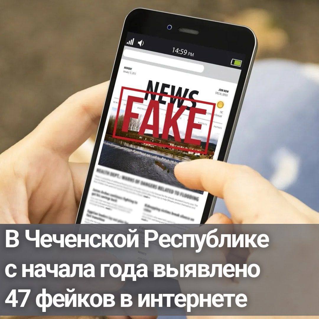 В Чечне с начала года выявлено 47 фейков в интернете