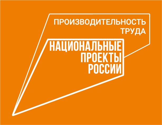 Реализация национального проекта «Производительность труда»