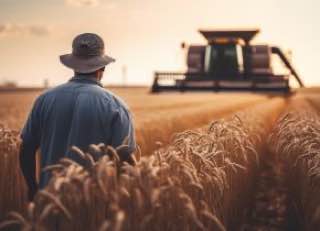 В Совете Федерации предложили поддержать фермеров в регионах с низкими бюджетами