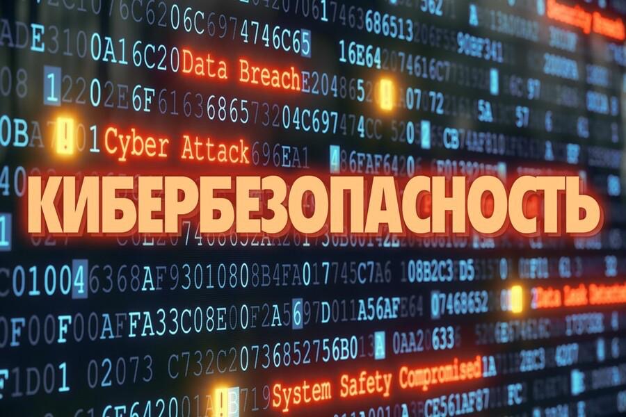 Участие в онлайн-олимпиаде по кибер безопасности приняли 2,3 млн школьников
