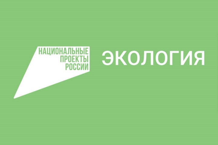 Акция «Посади дерево – сохрани лес» в Курчалоевском муниципальном районе