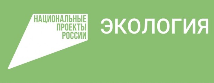 Чеченские школьники приняли участие в экологическом диктанте