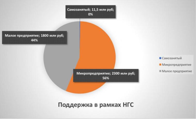 Итоги реализации в Чеченской Республике нацпроекта «МСП»