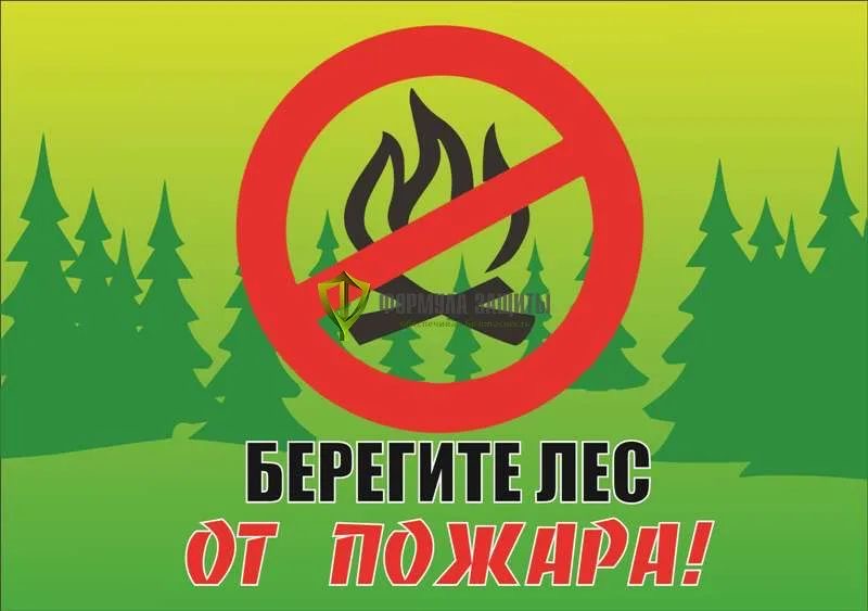 Итоги пожароопасного сезона в лесах Чеченской Республики