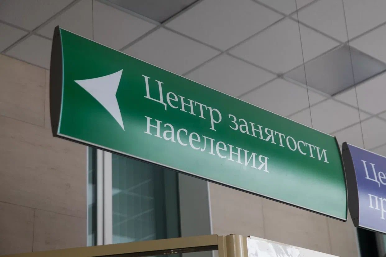 Центр занятости Шелковского района помогает раскрыть новые карьерные возможности