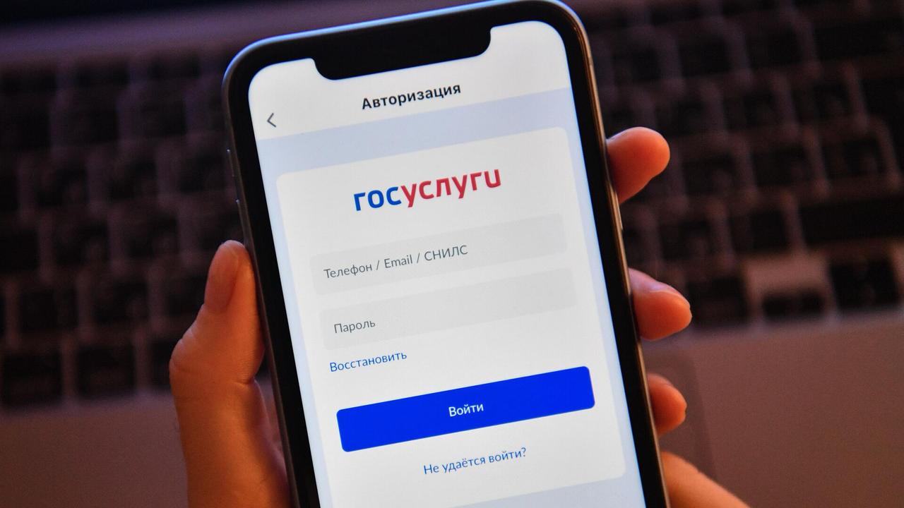 На «Госуслугах» появится «Единый профиль молодого человека»