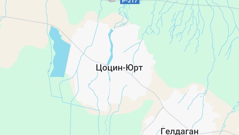 В селе Цоци-Юрт прошла профориентационная встреча для школьников
