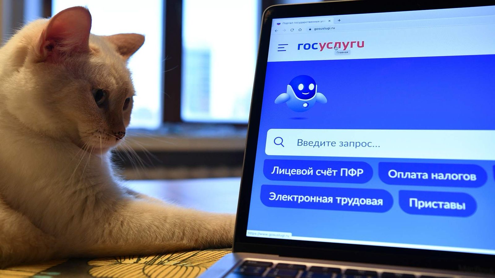 Как защитить аккаунт на Госуслугах: советы от Министерства транспорта, связи и цифрового развития ЧР
