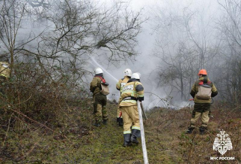 За год в Чечне не допущено ни одного лесного пожара