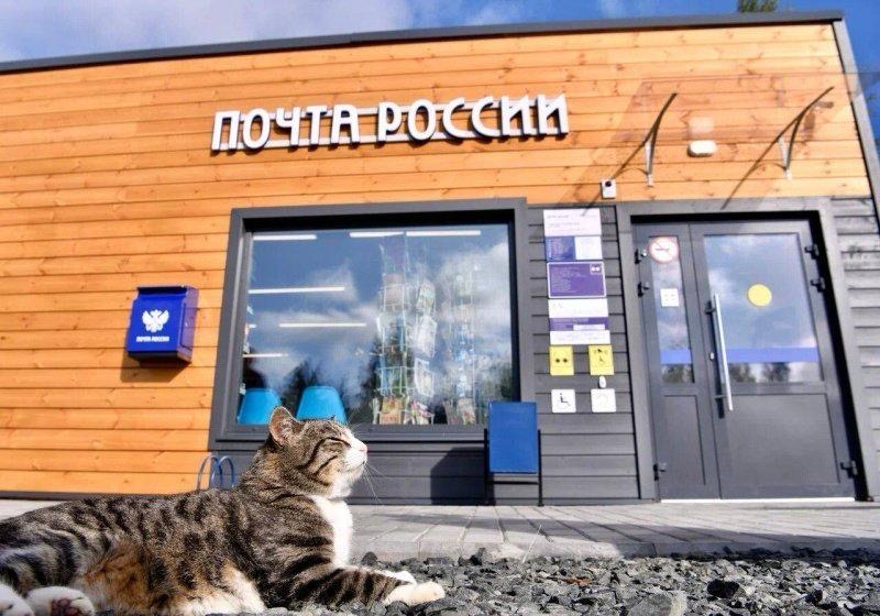 В России стартовал конкурс «Земский почтальон»