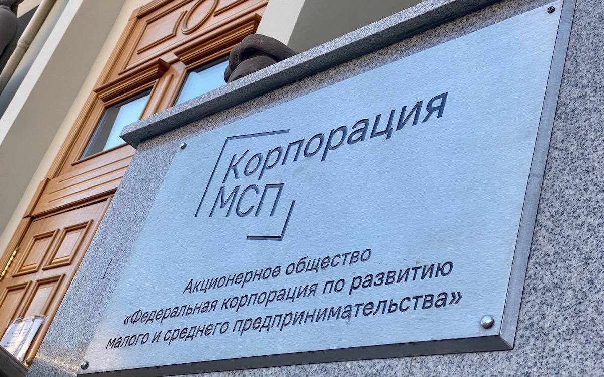 Свыше 6 млрд рублей кредитов получит малый бизнес Северного Кавказа в 2025 году