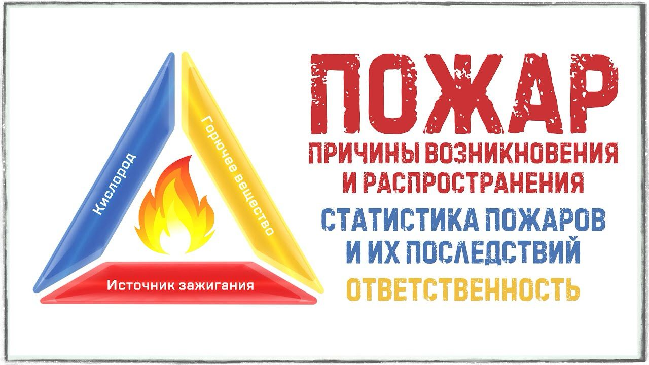Минприроды ЧР запускает конкурс на лучший социальный ролик о борьбе с пожарами