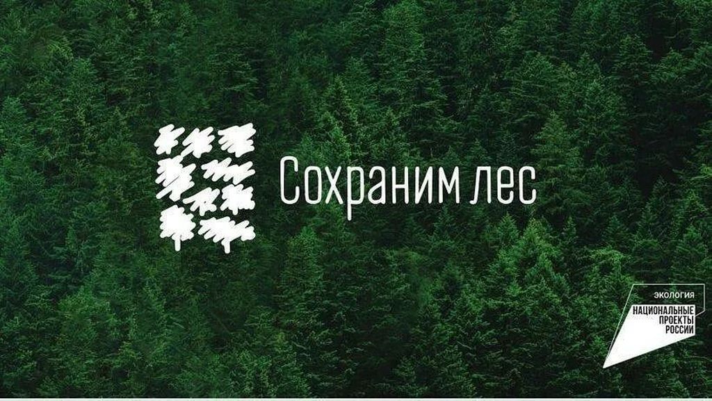 В Чечне Пройдет Конкурс «вместе Сохраним Леса От Пожаров»
