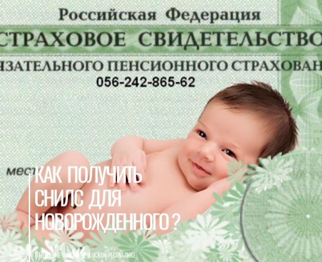 С начала года Отделение СФР по Чеченской Республике проактивно открыло более 6 тысяч СНИЛС новорожденным