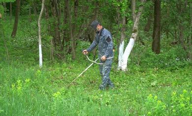 В Ачхой-Мартановском районе стартовал масштабный экологический марафон «Чистые берега».