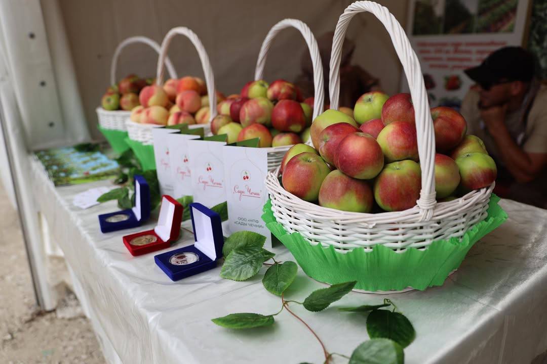 На «Беноевской весне» представили сельскохозяйственную продукцию местных производителей