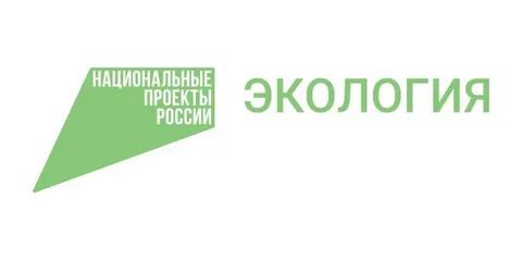 В Серноводском лесничестве проходят экологические субботники в рамках нацпроекта
