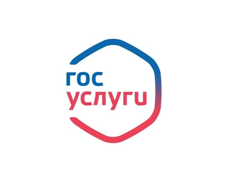 Опрос о том, что значит быть мужчиной, можно пройти на «Госуслугах»