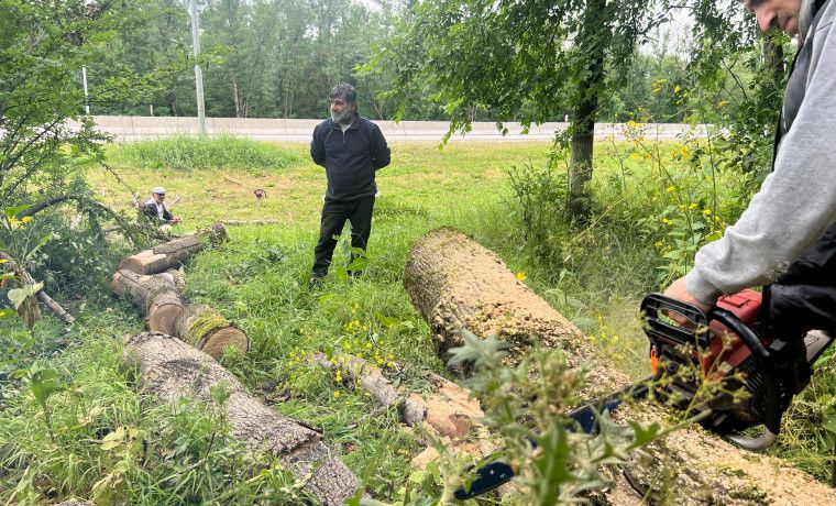 Работники Шалинского лесничества приняли участие в субботнике по очистке территорий к лесным массивам