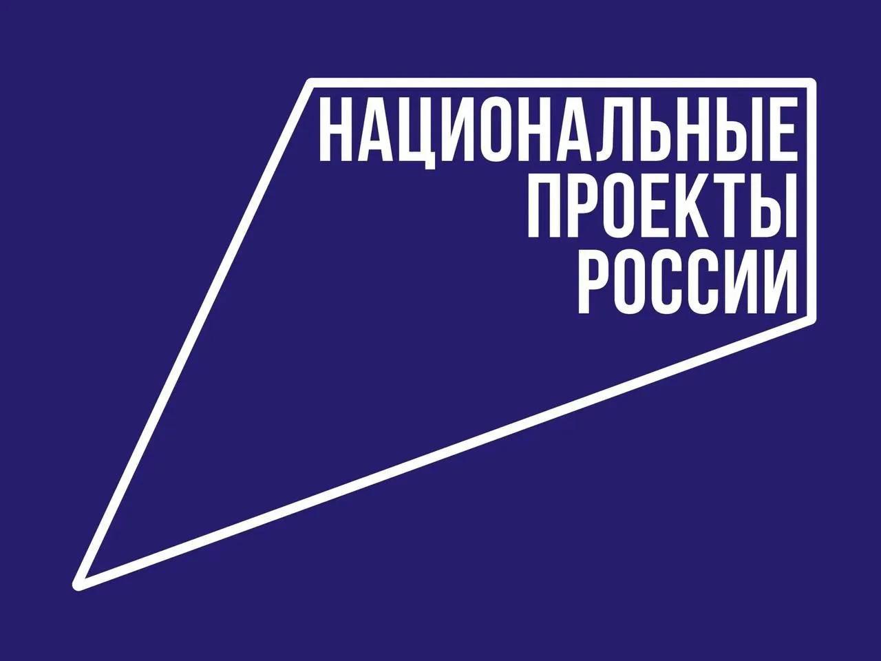 Уровень цифровой грамотности госслужащих проверят в России