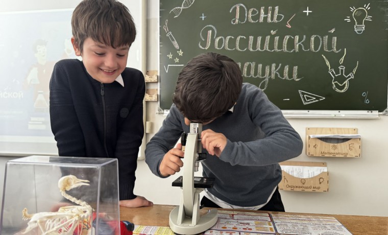 В МБОУ «Хаттунинская СОШ» отметили День российской науки