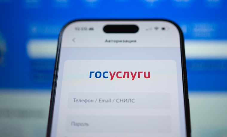 На Госуслугах запущен новый сервис для будущих родителей «Планирование и рождение ребёнка»
