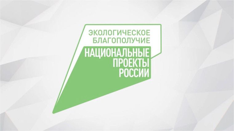 В Самашкинском лесничестве Чечни стартовали субботники
