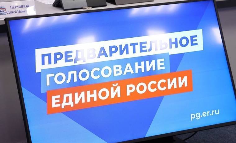 Свыше 104 тысяч избирателей из Чеченской Республики проголосовали 28 мая