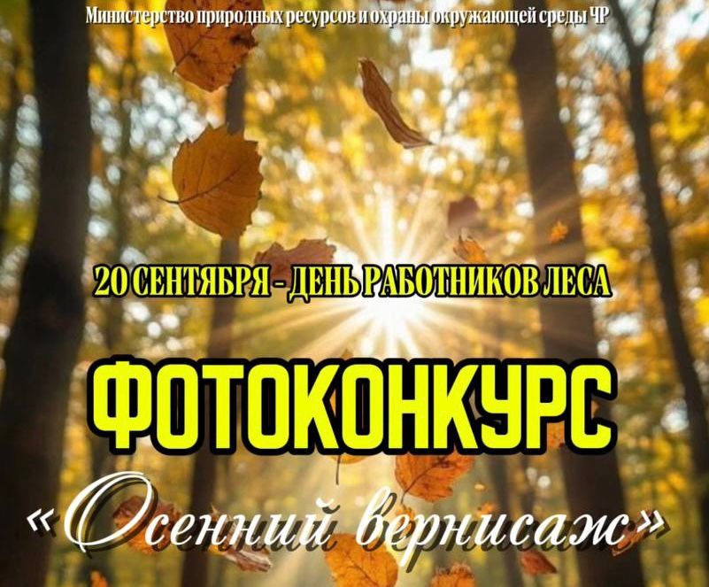 Министерство природных ресурсов Чеченской Республики запускает фотоконкурс «Осенний вернисаж»