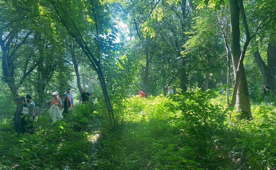 Вдоль трассы к Гойтам очистили лесную зону