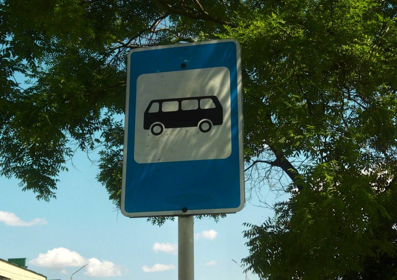 В Госдуме предложили ввести федеральную льготу на проезд для детей из многодетных семей