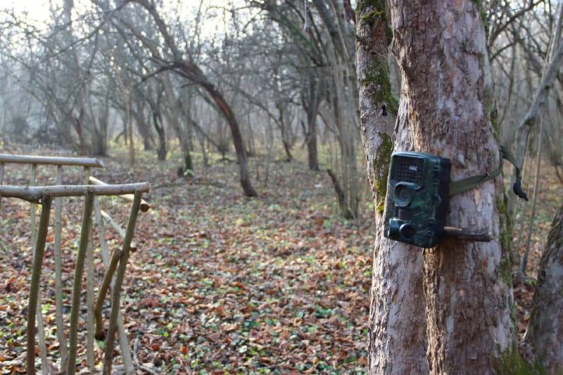 Жителей ЧР призвали не создавать угрозу возникновения лесных пожаров