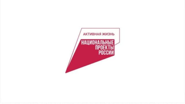 Курчаловская ЦРБ получила современную эндоскопическую систему